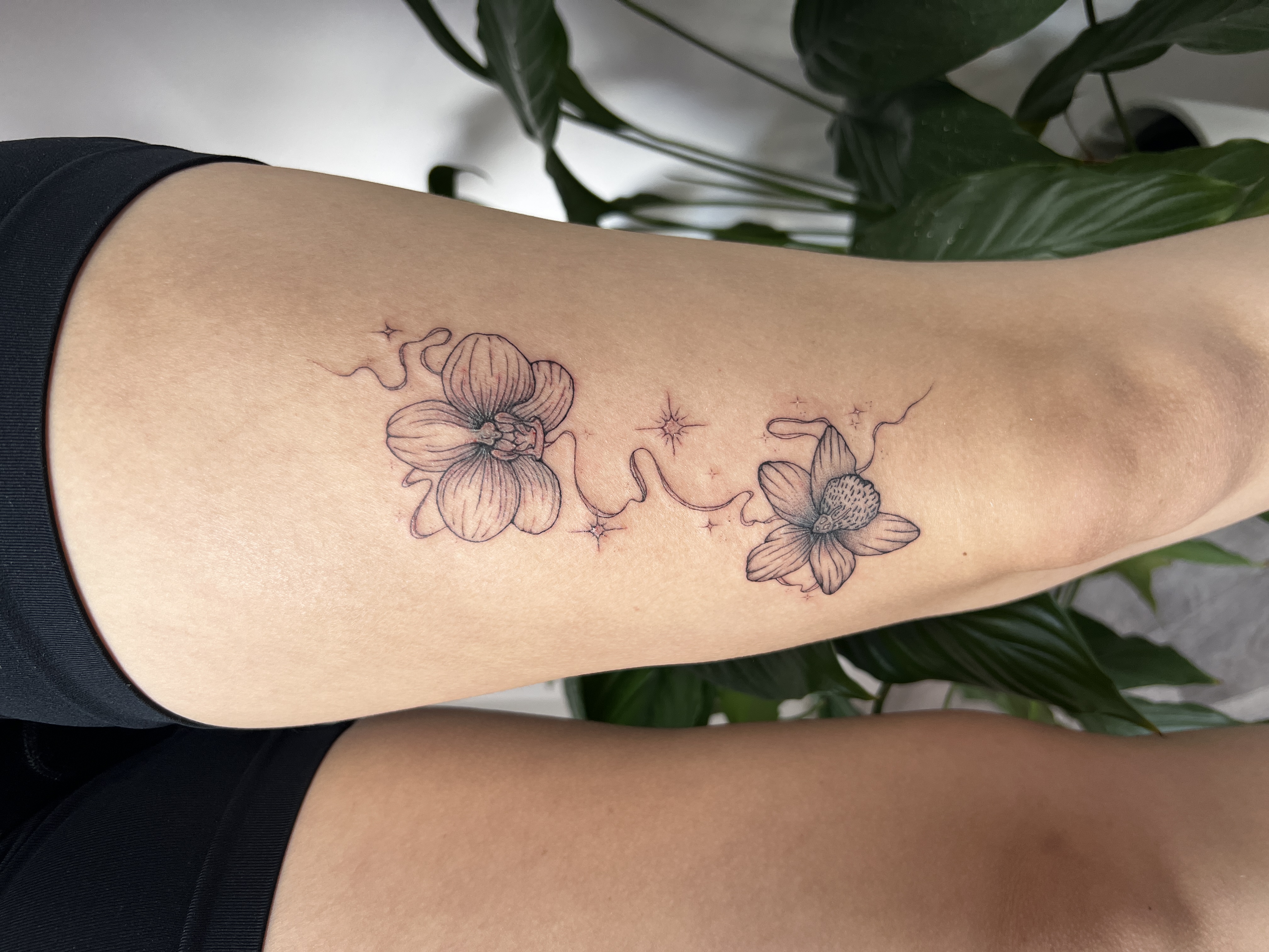 Ukázka tetování – jemné stínování (peti.ink)