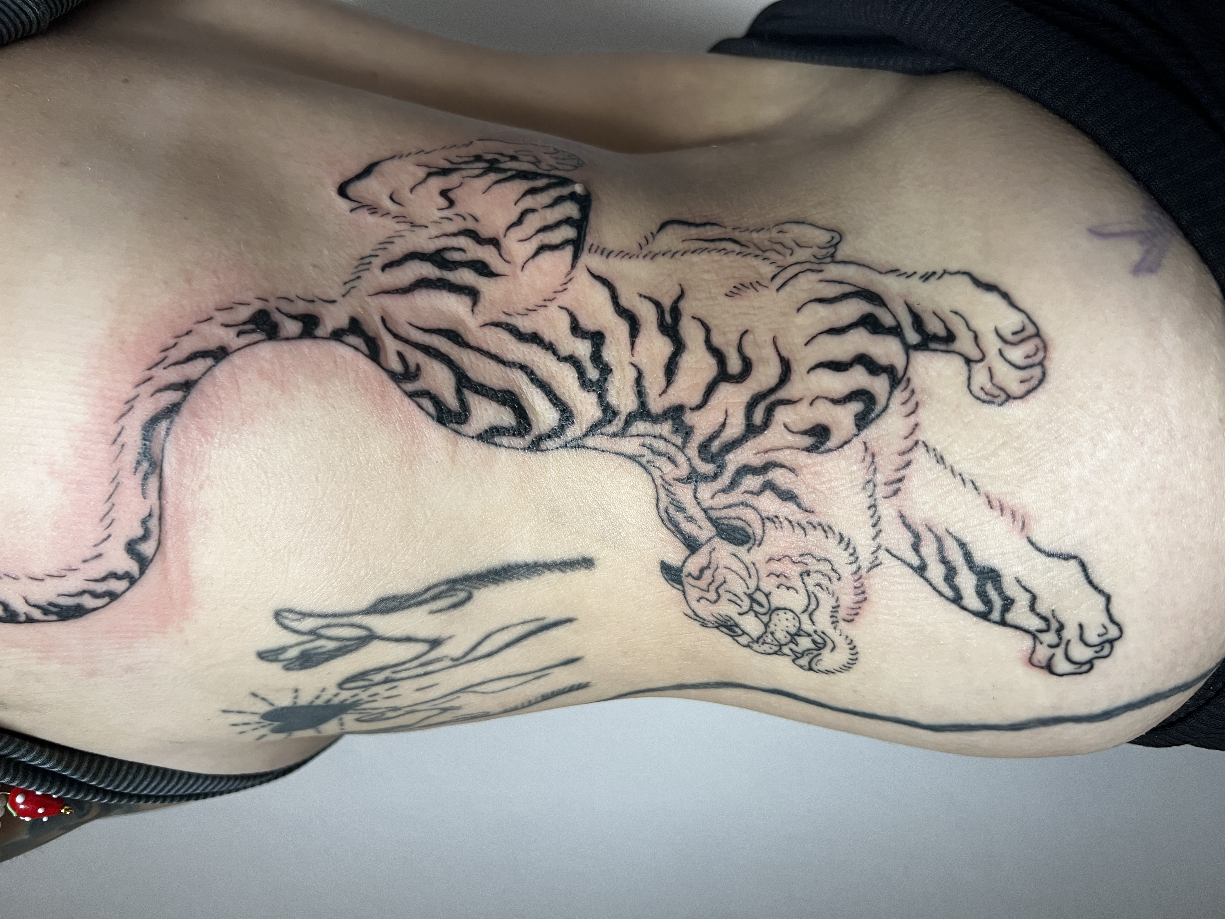 Ukázka tetování – detailní fine line práce (peti.ink)